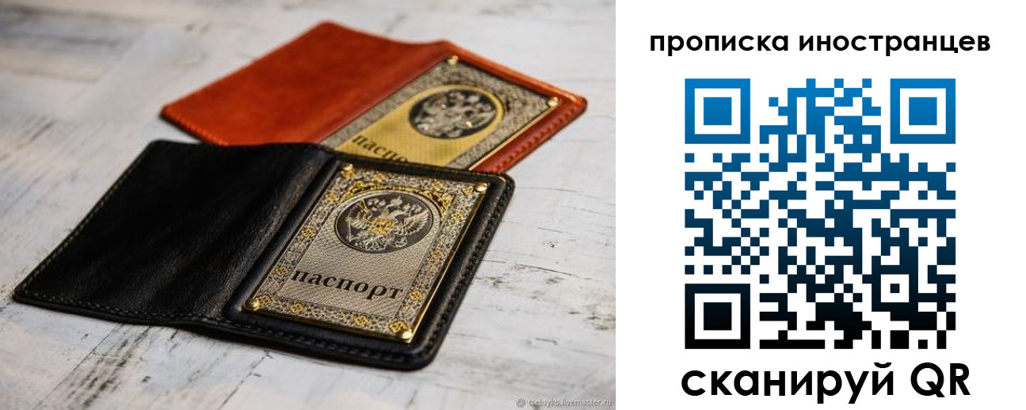 прописка в Ершове